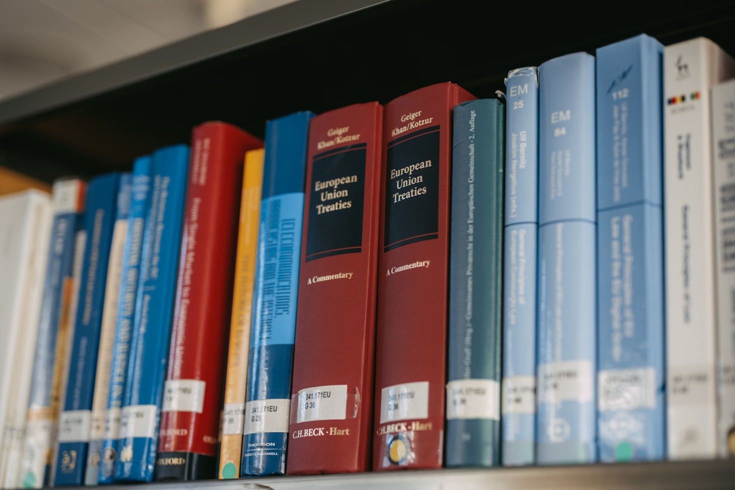 A Guide to Legal Resources for Young Professionals